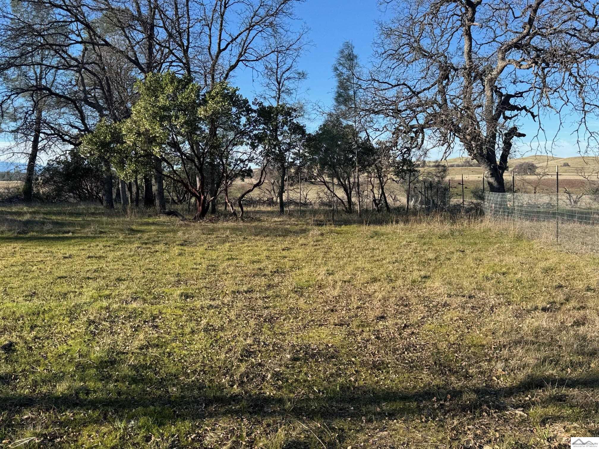16240 Rancho Tehama Road Corning, CA 96021 - Photo 6 of 19