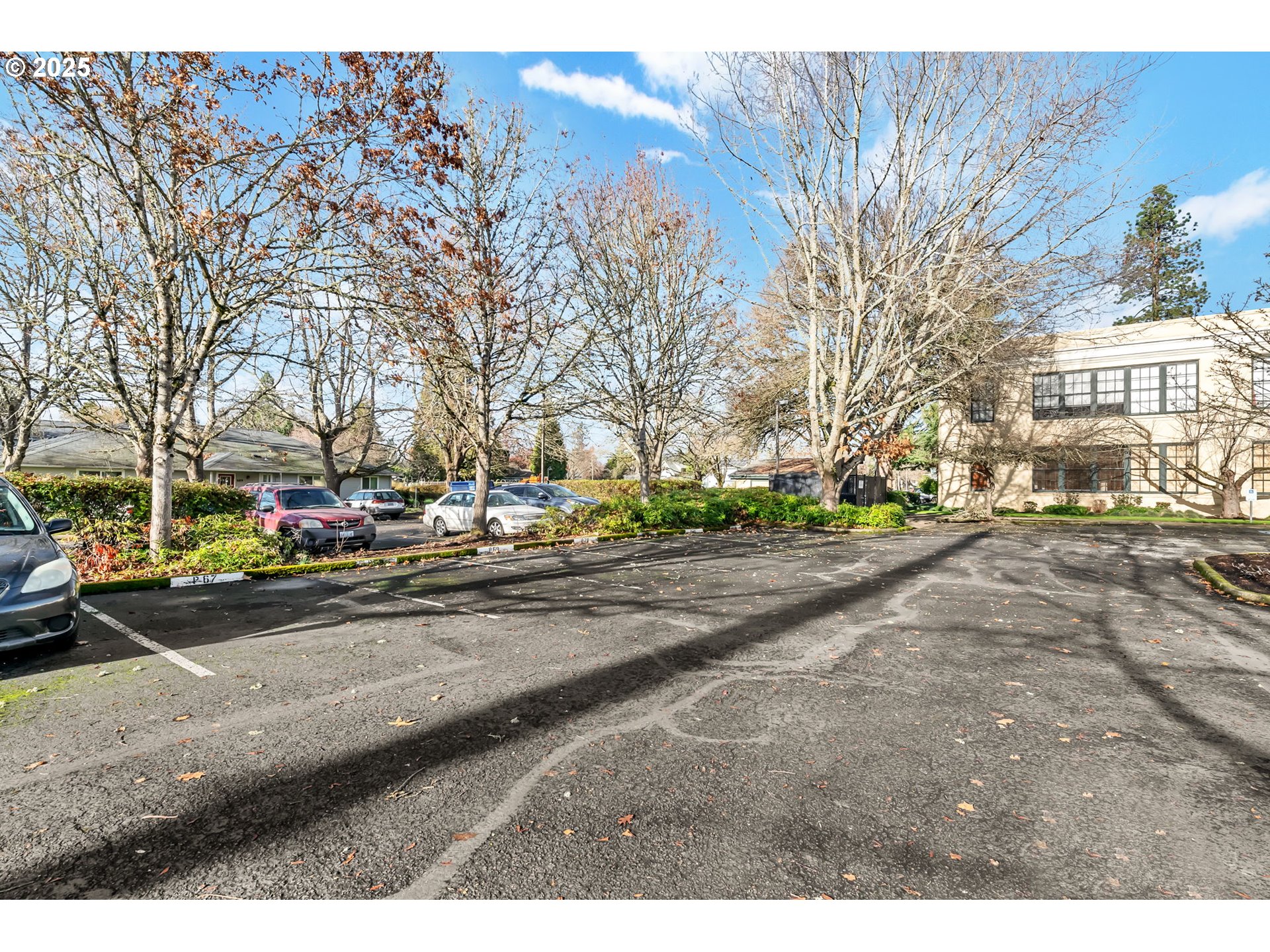 650 West 12th Avenue, Unit 211 Eugene, OR 97402 - Photo 37 of 39 a view of road with yard and car parked