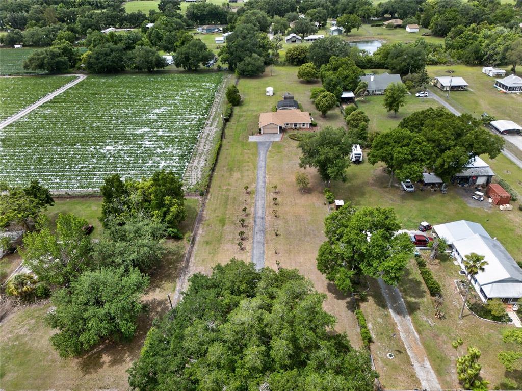 2425 Hawk Griffin Road Plant City, FL 33565 - Photo 5 of 50 Gallery Image 5