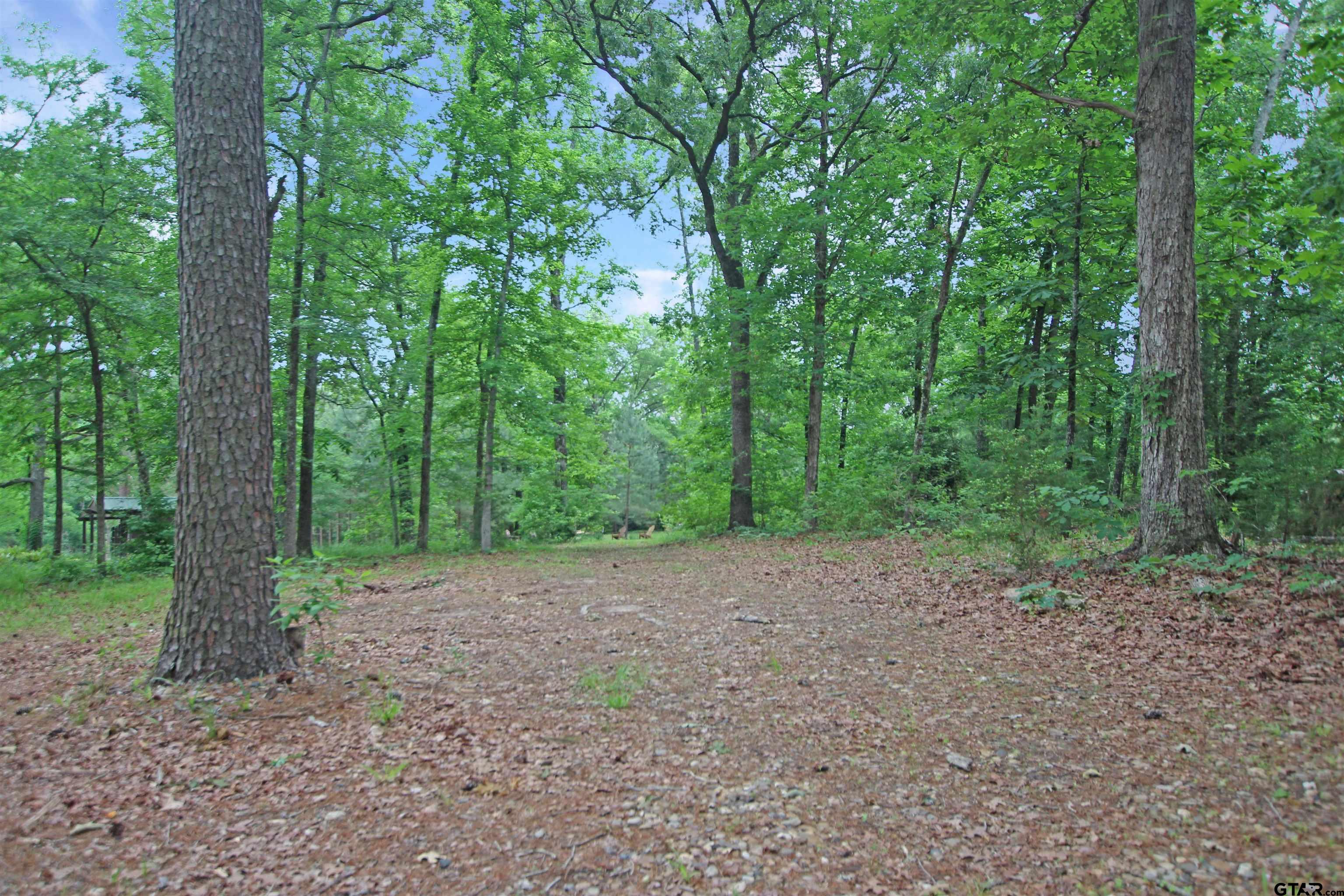 782 Rosie Wady Road Gladewater, TX 75647 - Photo 40 of 48 a view of a forest with trees in the background