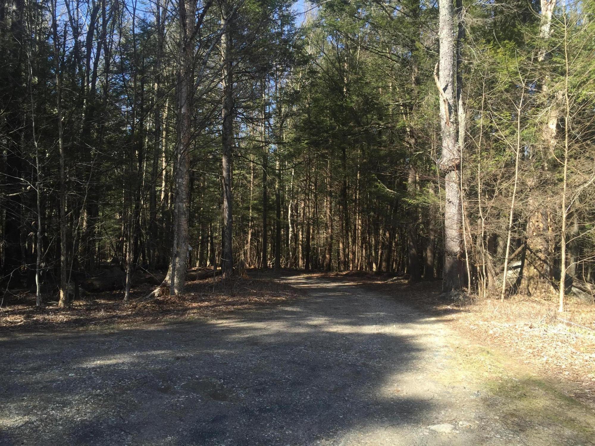 117 Clark Wright Road Middlefield, MA 01050 - Photo 8 of 22 a view of a park with a tree
