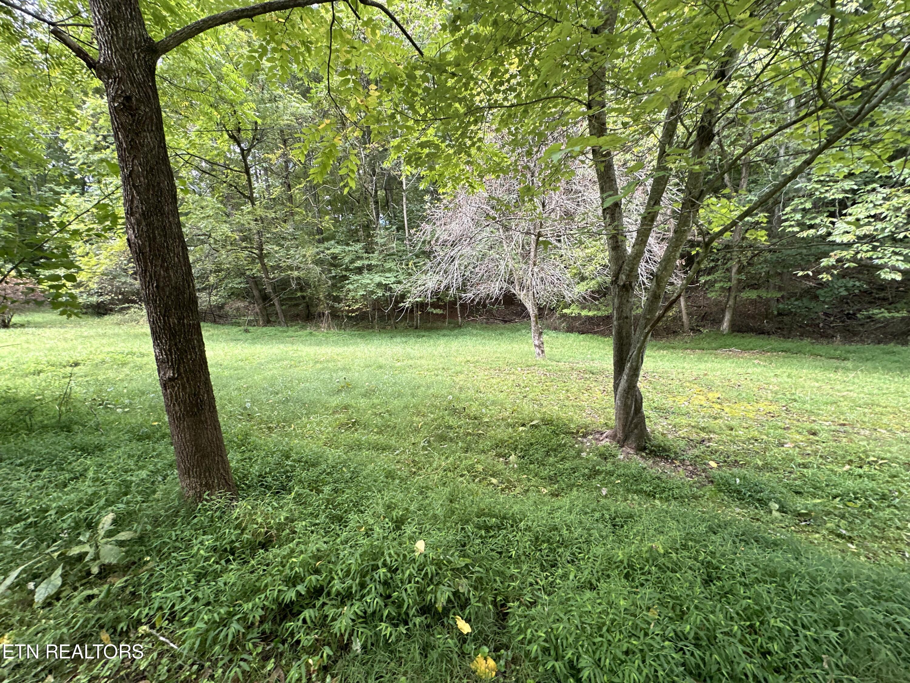 1421 Beaver Brook Road Ewing, VA 24248 - Photo 1 of 6 IMG_8599
