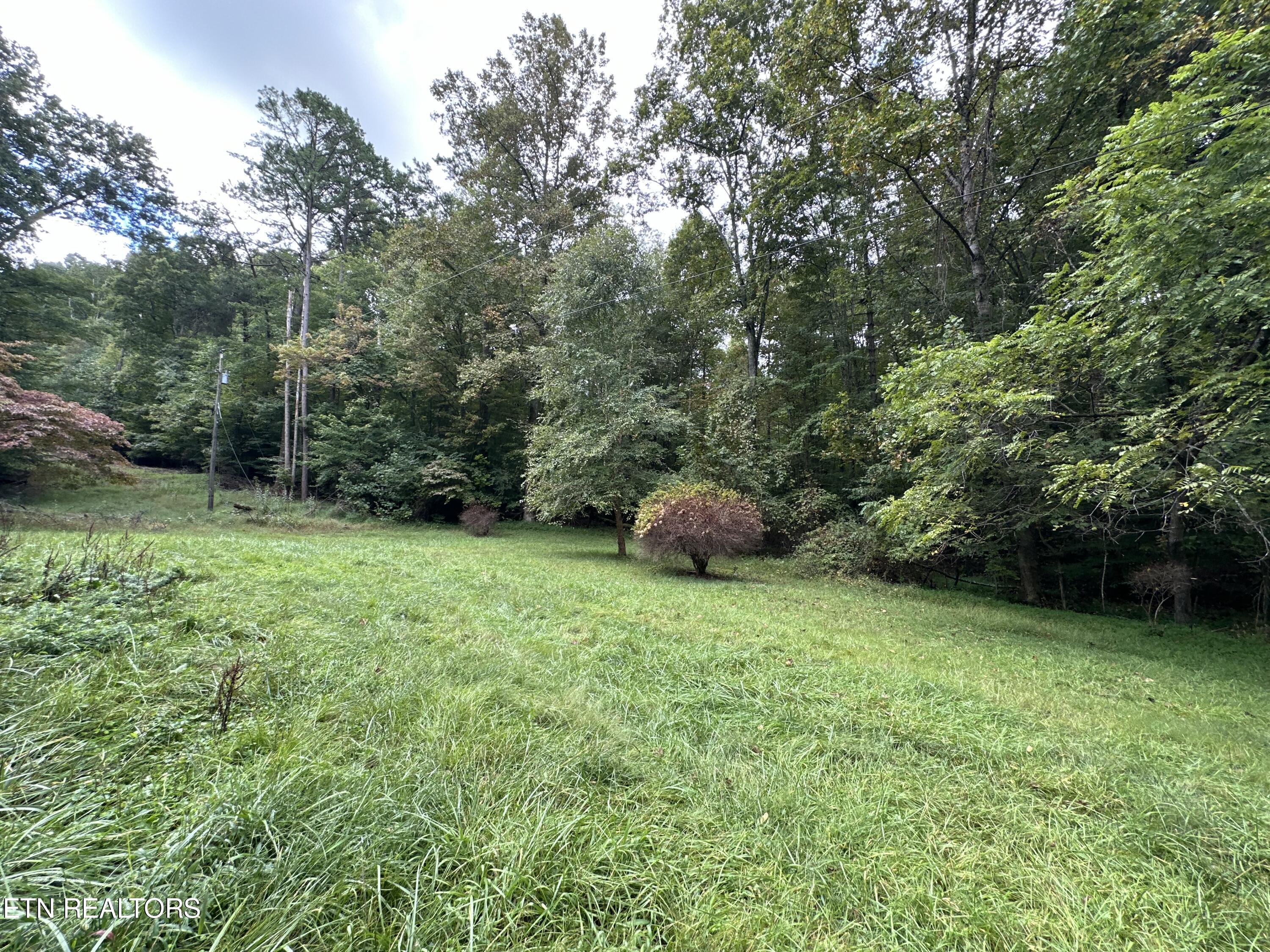 1421 Beaver Brook Road Ewing, VA 24248 - Photo 2 of 6 IMG_8596