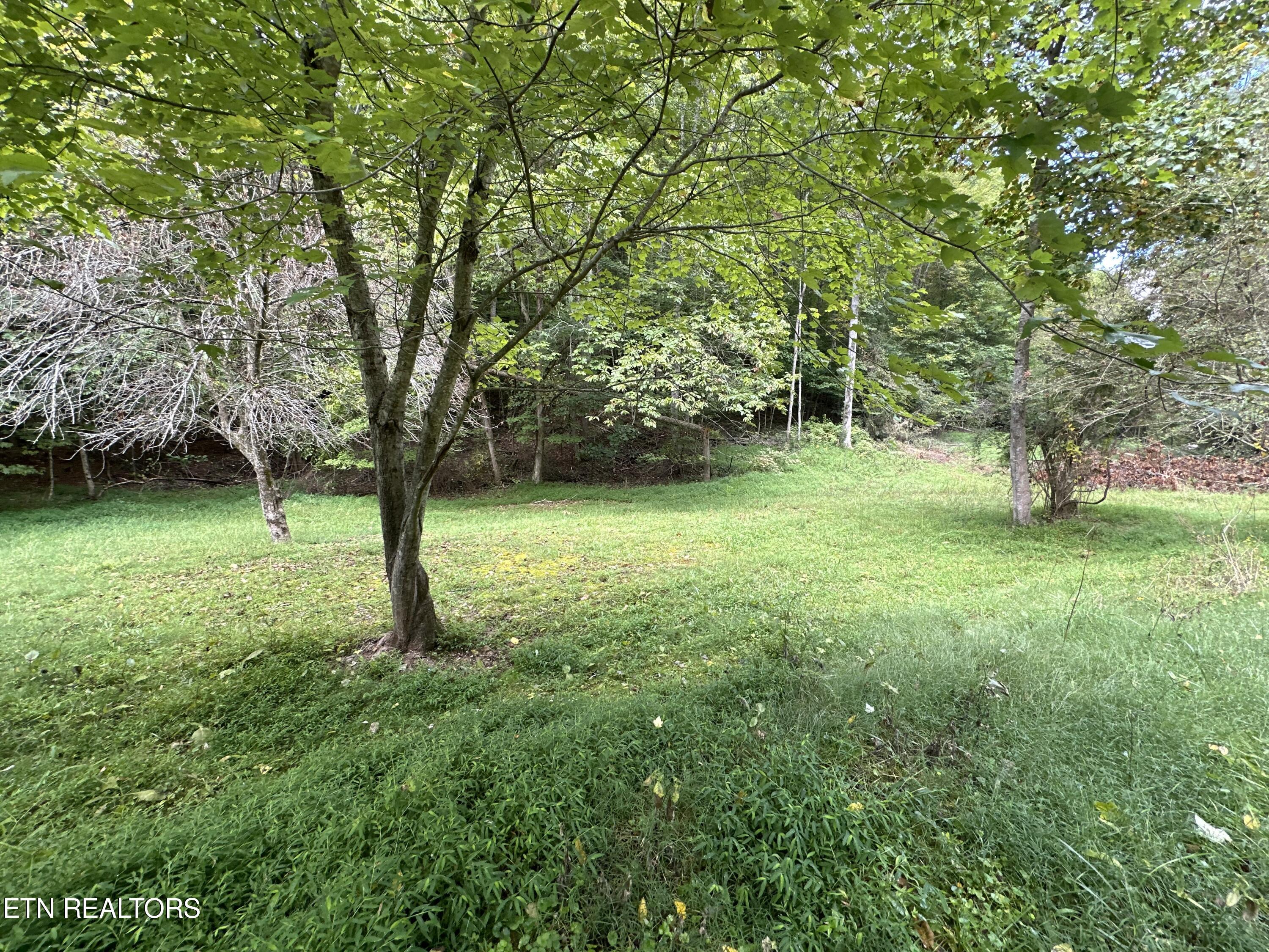1421 Beaver Brook Road Ewing, VA 24248 - Photo 4 of 6 IMG_8598