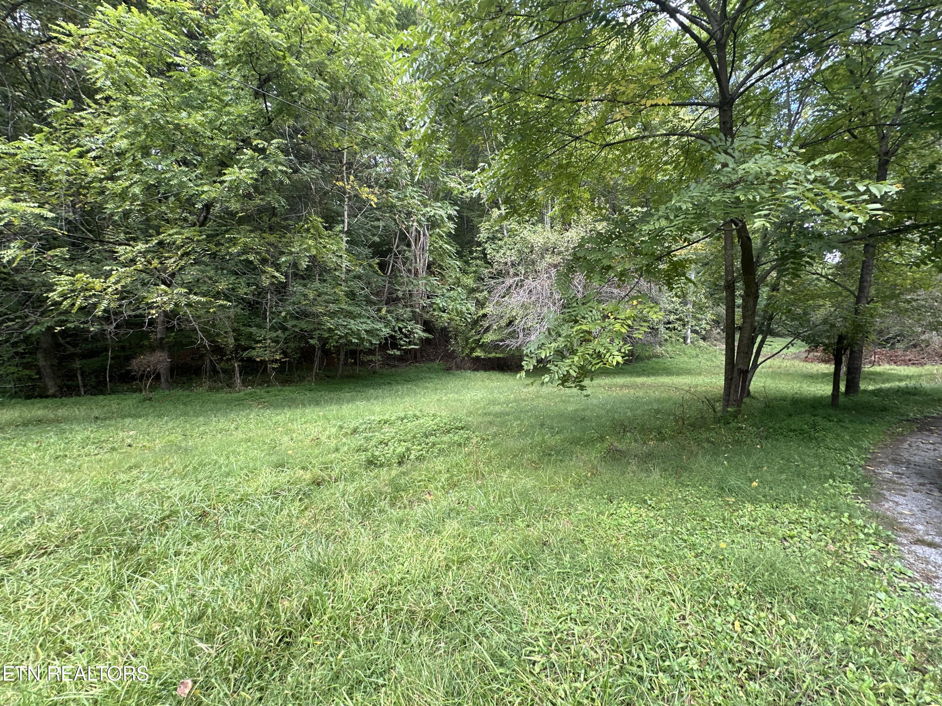 1421 Beaver Brook Road Ewing, VA 24248 - Photo 5 of 6 IMG_8593