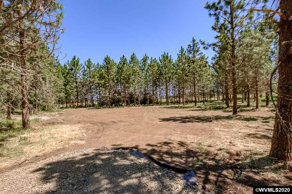 37891 Hungry Hill Road Scio, OR 97374 - Photo 13 of 38