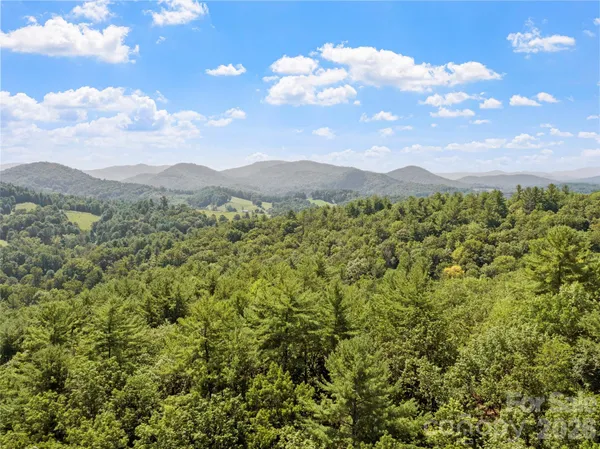 a view of a lush green forest with mountains in the background