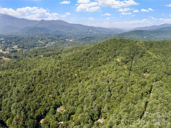 a view of a lush green hillside and a mountain