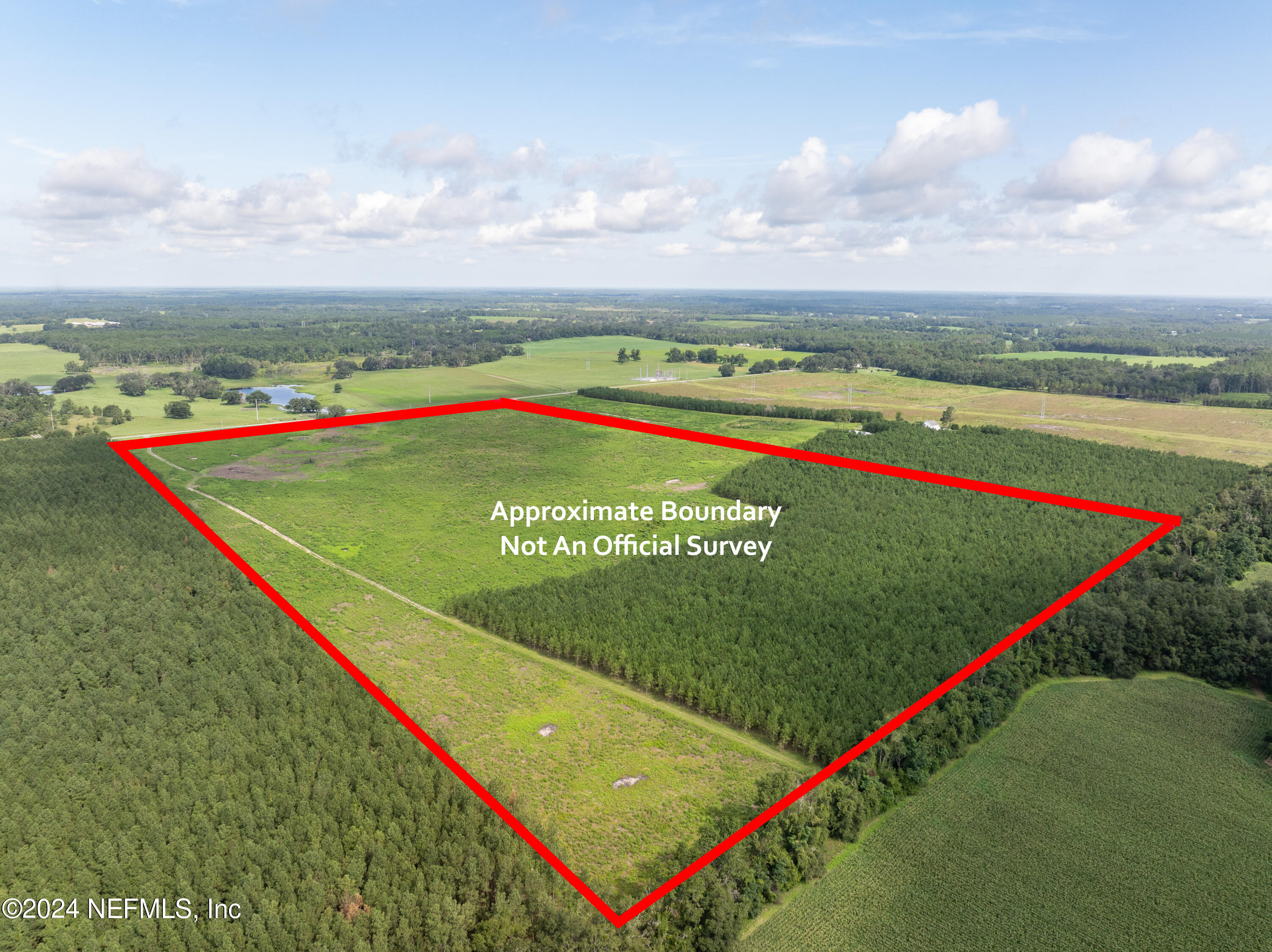 Vacant88 Northeast Rocky Ford Road Pinetta, FL 32350 - Photo 2 of 12