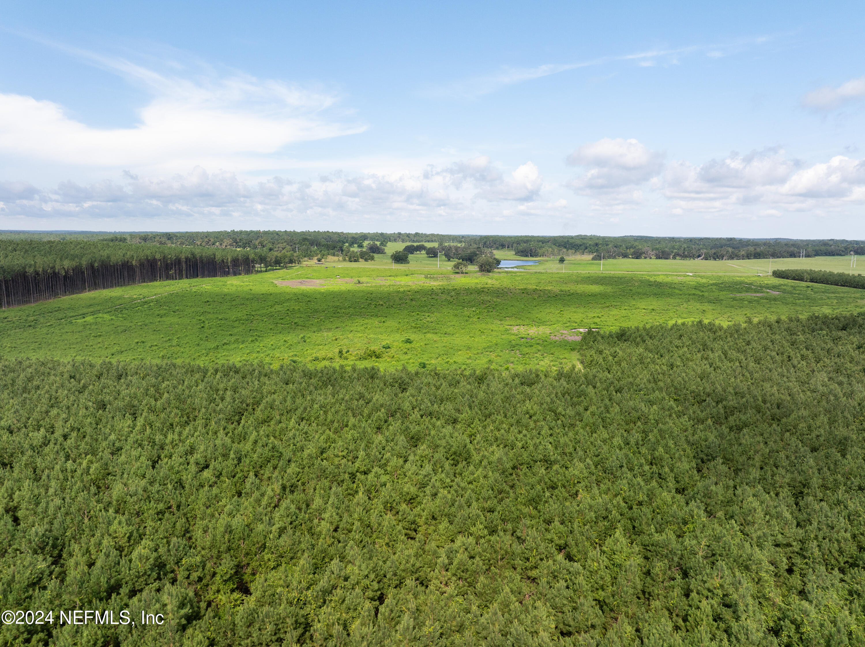 Vacant88 Northeast Rocky Ford Road Pinetta, FL 32350 - Photo 6 of 12