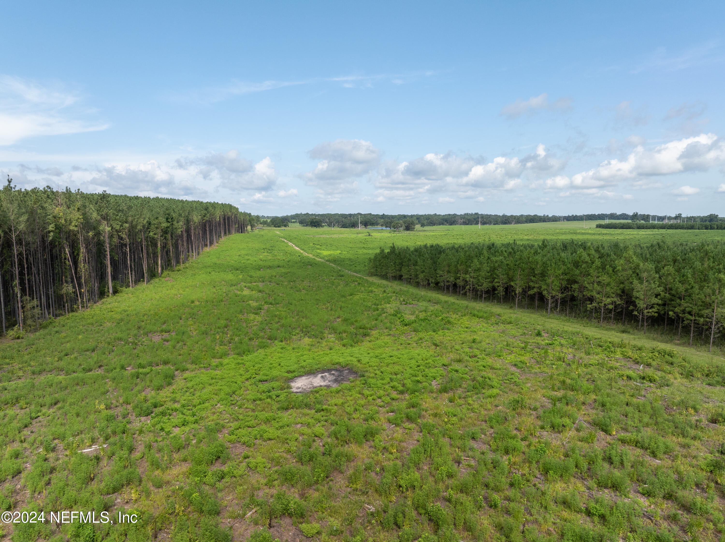 Vacant88 Northeast Rocky Ford Road Pinetta, FL 32350 - Photo 7 of 12 a view of an outdoor space and a yard