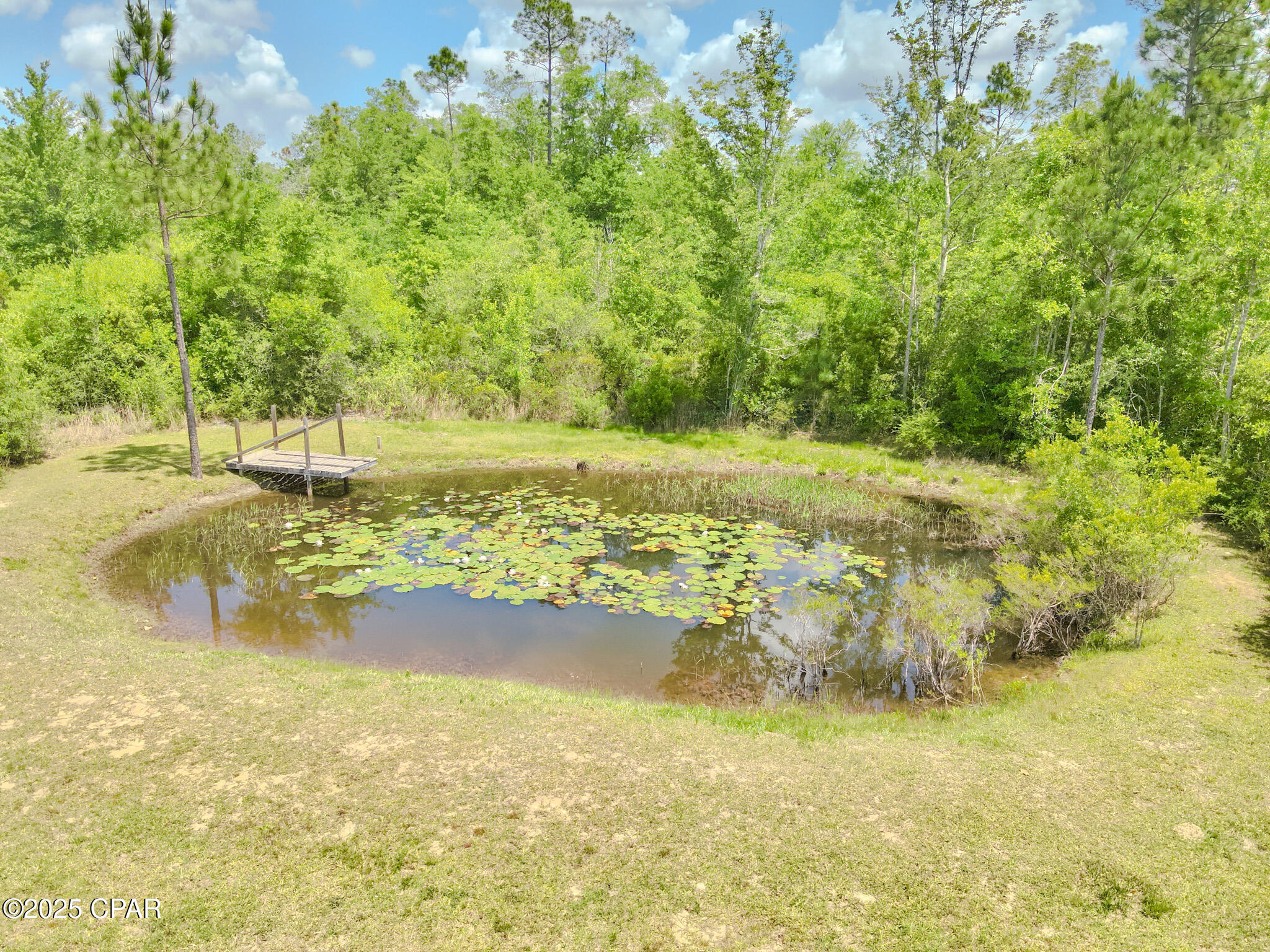 2281 Seay Road Cottondale, FL 32431 - Photo 48 of 59