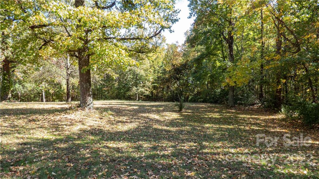 11128 Mallard Creek Road Charlotte, NC 28262 - Photo 44 of 47 a view of a yard with large trees