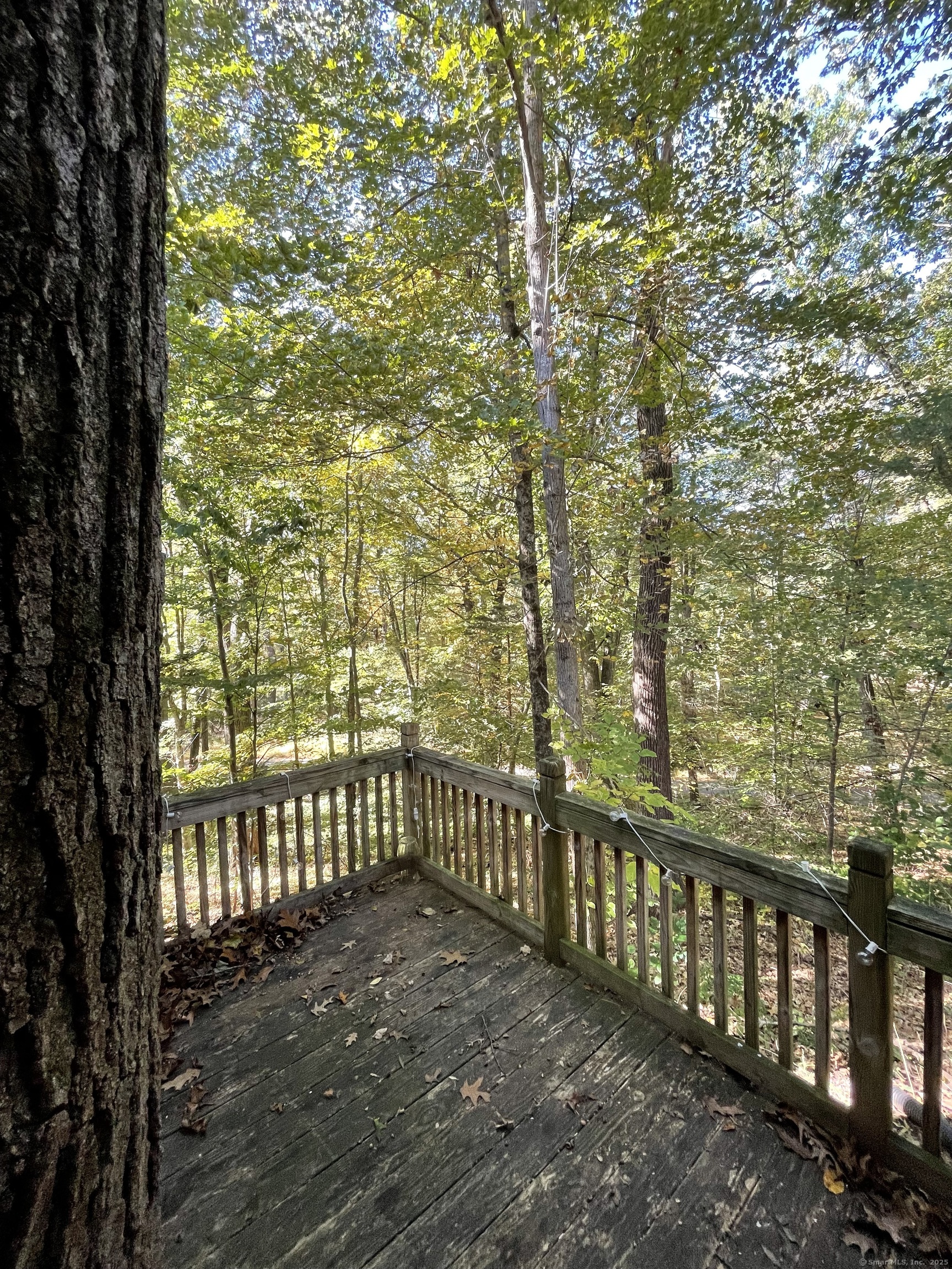 1142 Sperry Road Cheshire, CT 06410 - Photo 15 of 16 a view of a pathway with a street view