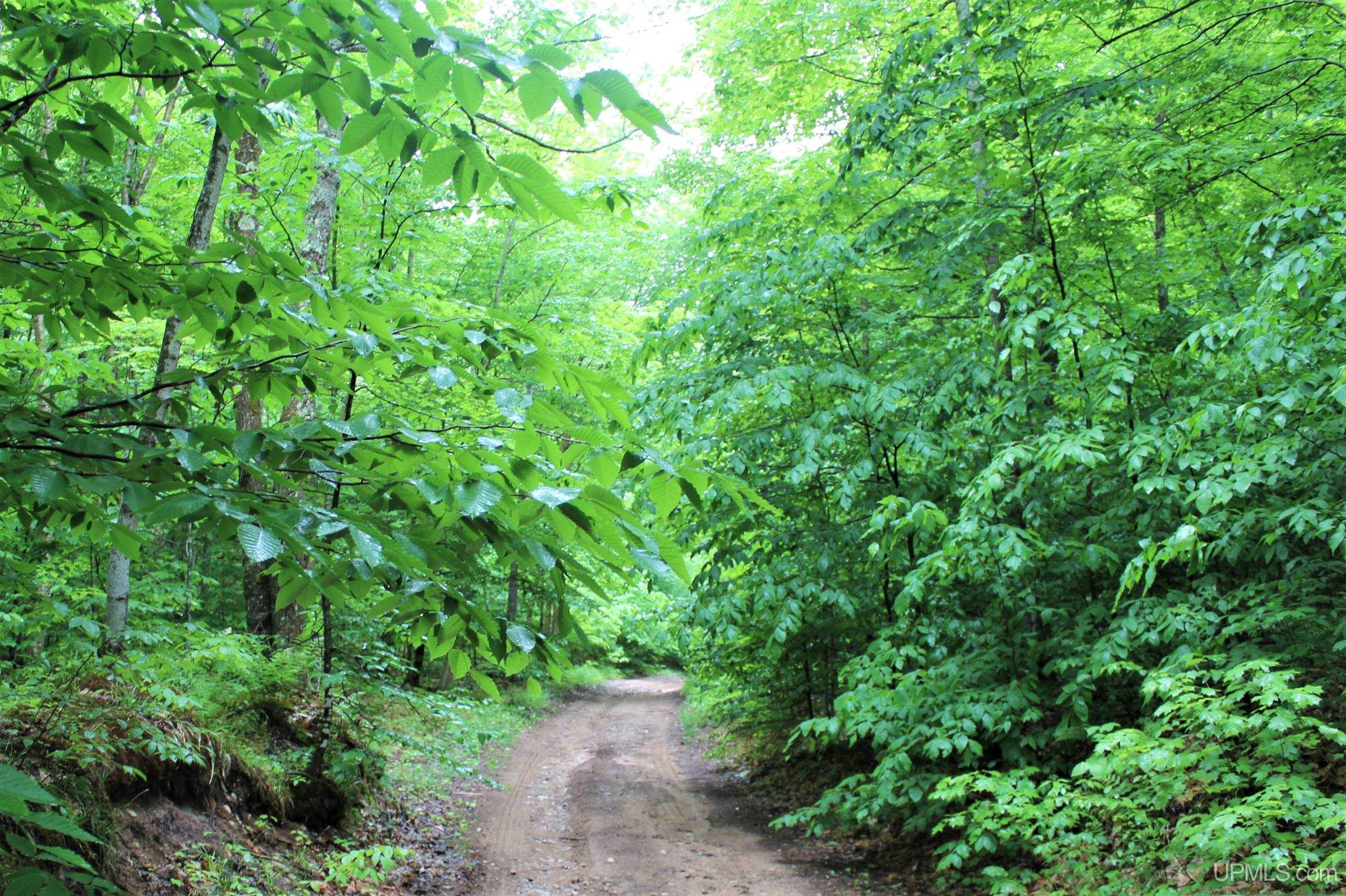 On Gage Road Munising, MI 49862 - Photo 13 of 17
