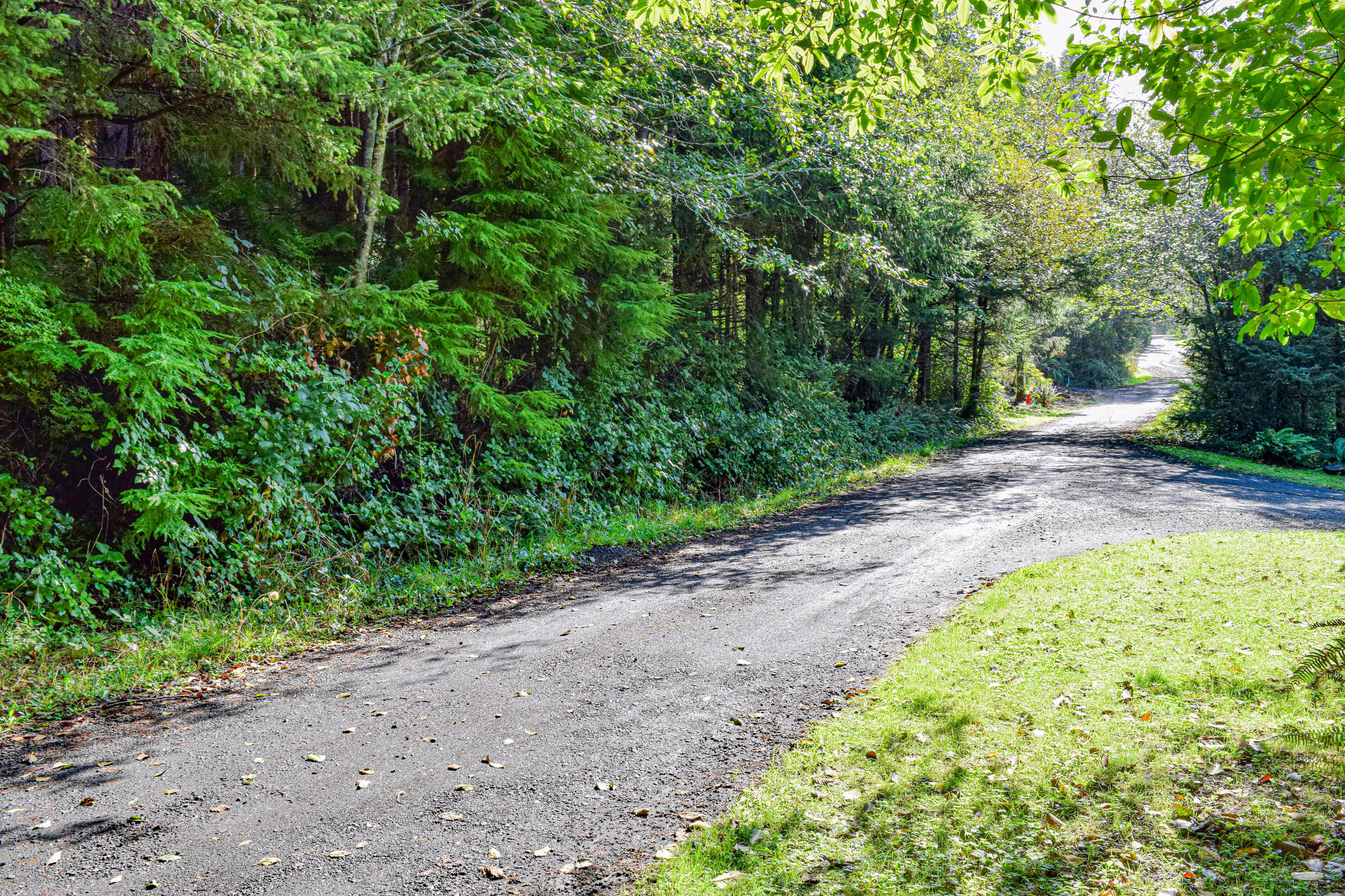 3174 Northeast East Line Road Yachats, OR 97498 - Photo 2 of 12 East Line