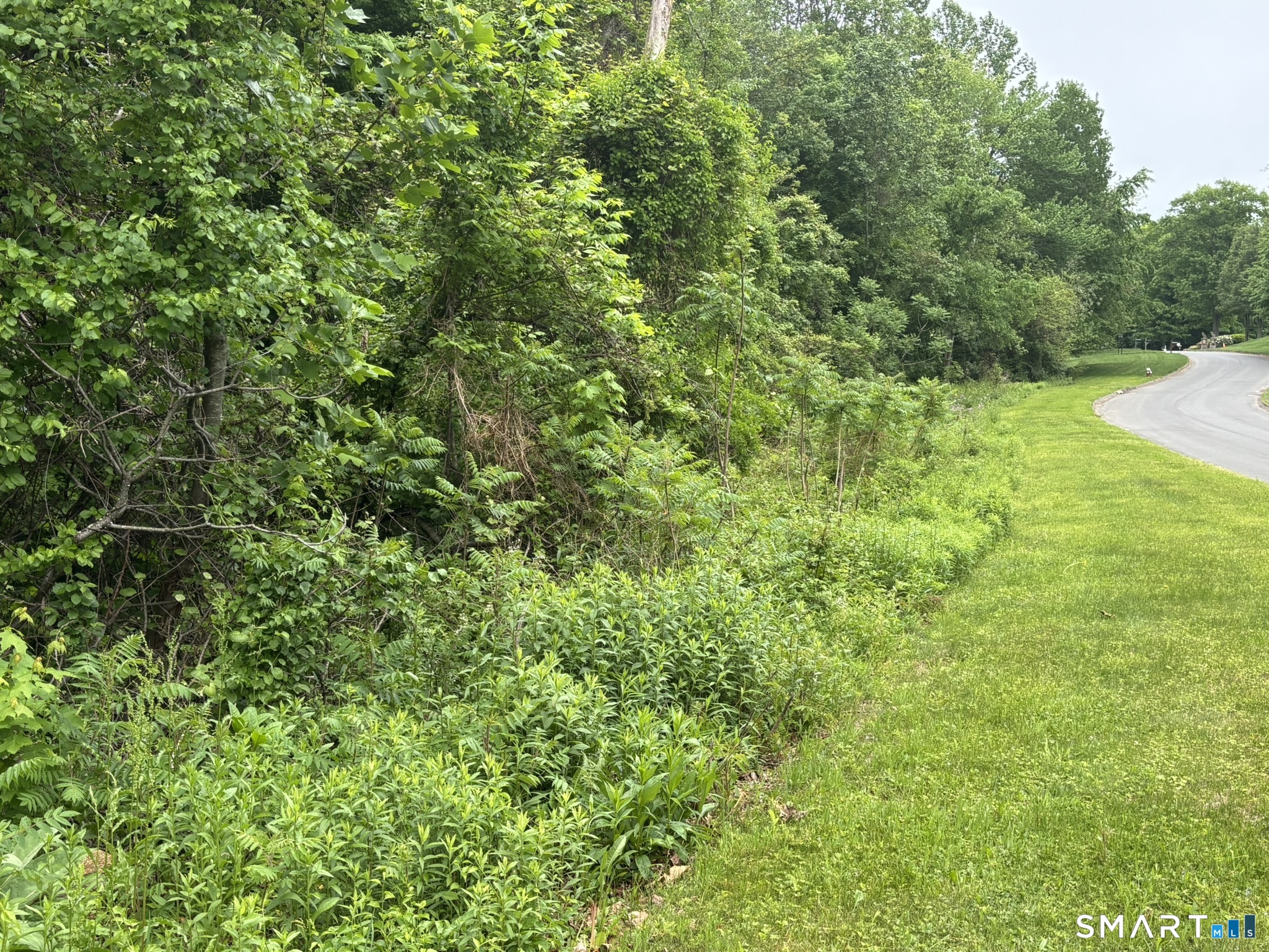 7 Holley Lane Prospect, CT 06712 - Photo 4 of 30 a view of a lush green space