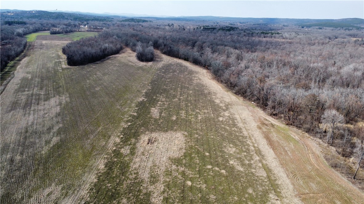 300 Highway 300 Road Roland, AR 72135 - Photo 17 of 28 Gallery Image 17