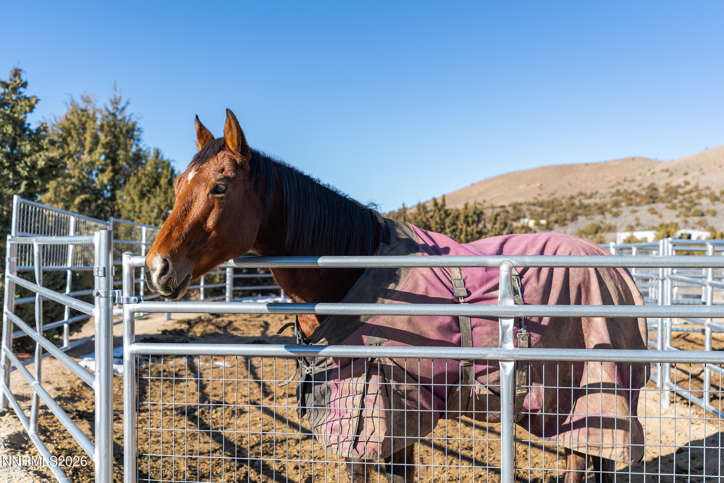 730 Encanto Drive Sparks, NV 89441 - Photo 67 of 87 88-print-_DSC3648