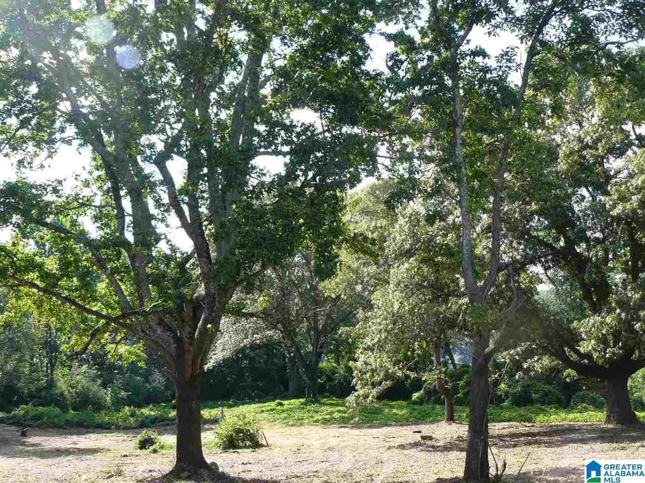 South Shades Crest Road Helena, AL 35022 - Photo 1 of 11