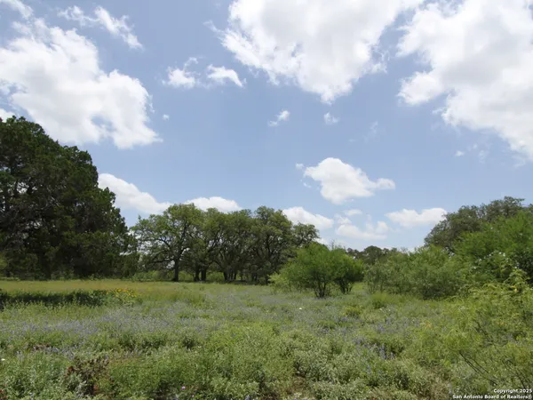 $1,690,000 | 1210 Whispering Woods Trail, New Braunfels, TX 78132