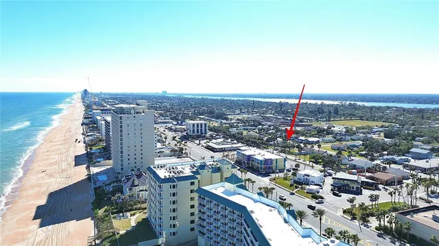 a view of plant in a yard