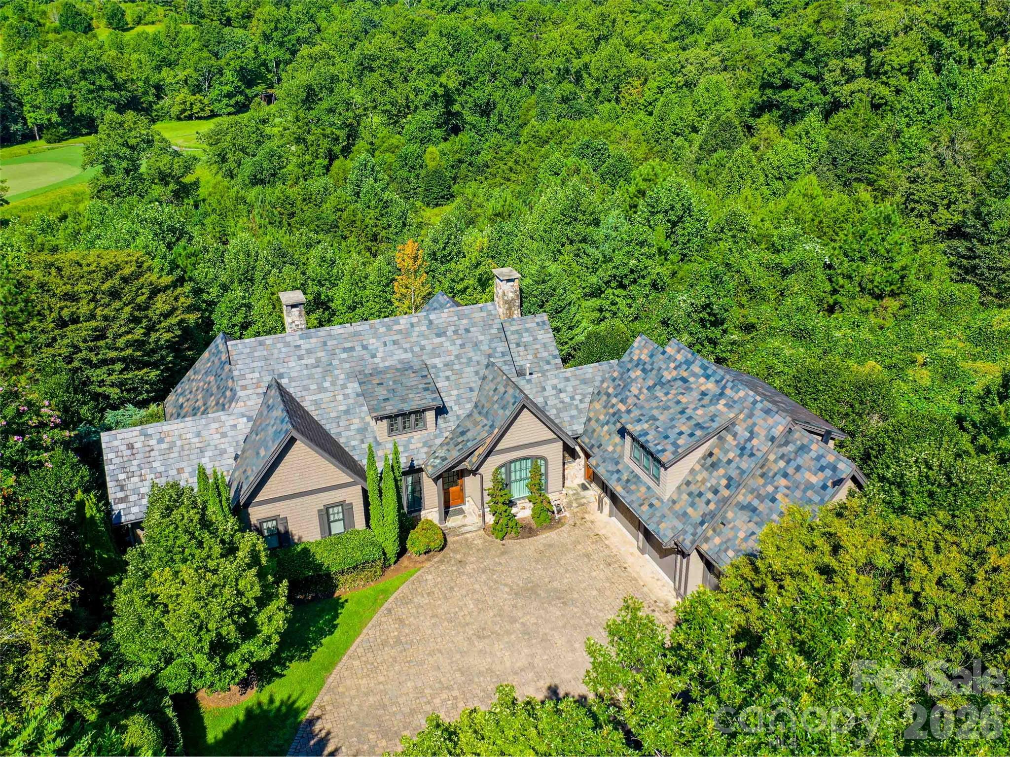 306 Chestertown Drive Mill Spring, NC 28756 - Photo 2 of 38