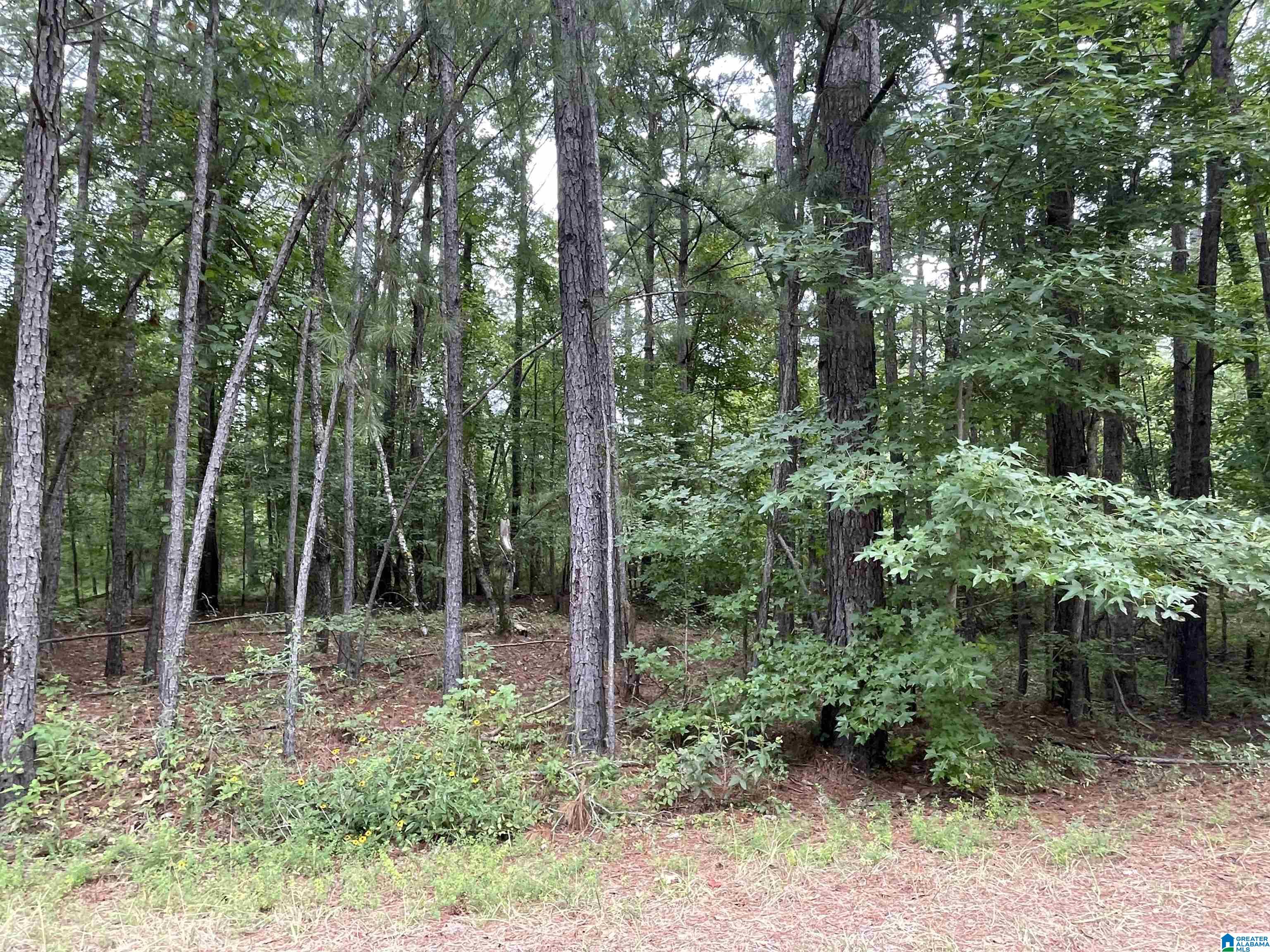 0 Paradise Point Drive Columbiana, AL 35051 - Photo 13 of 23