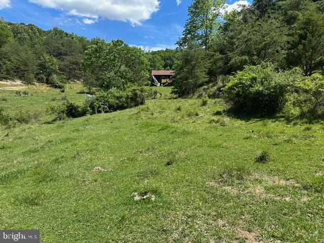 1096 Co Rte 10/2 Franklin, WV 26807 - Photo 9 of 23