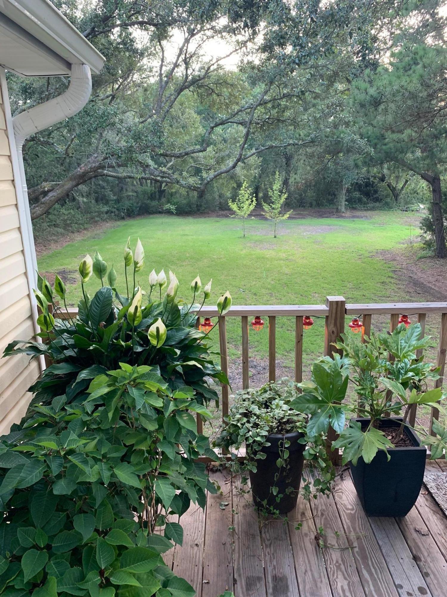 1689 Old Military Road Charleston, SC 29412 - Photo 24 of 31 IMG_0594