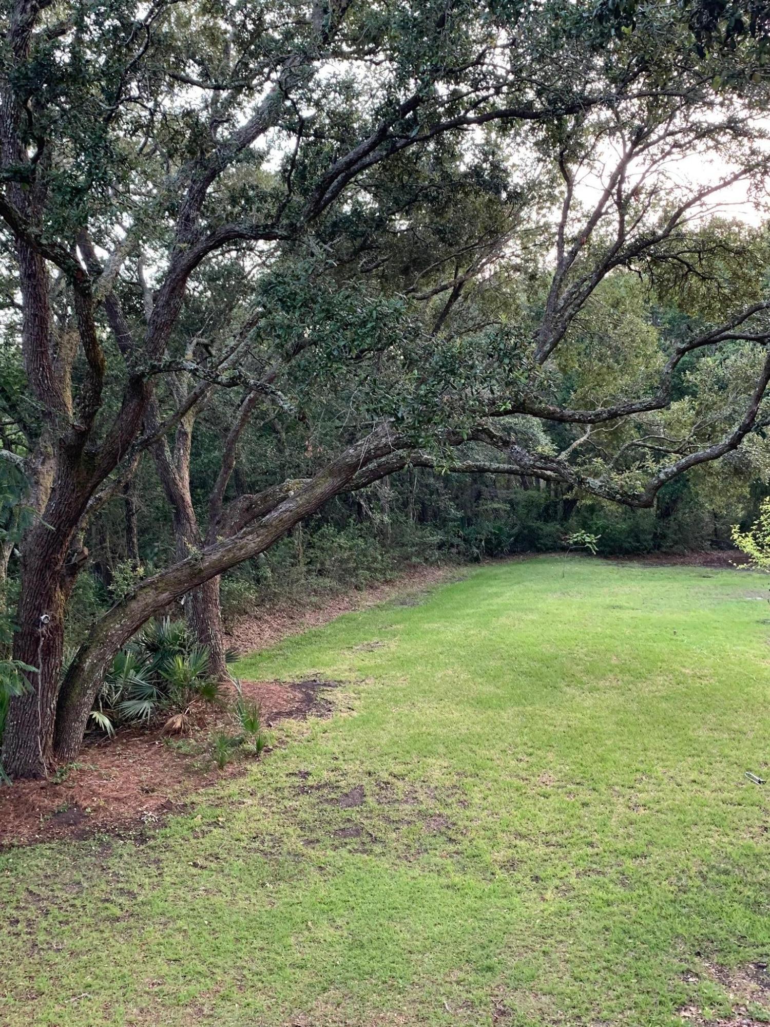 1689 Old Military Road Charleston, SC 29412 - Photo 28 of 31 IMG_0595