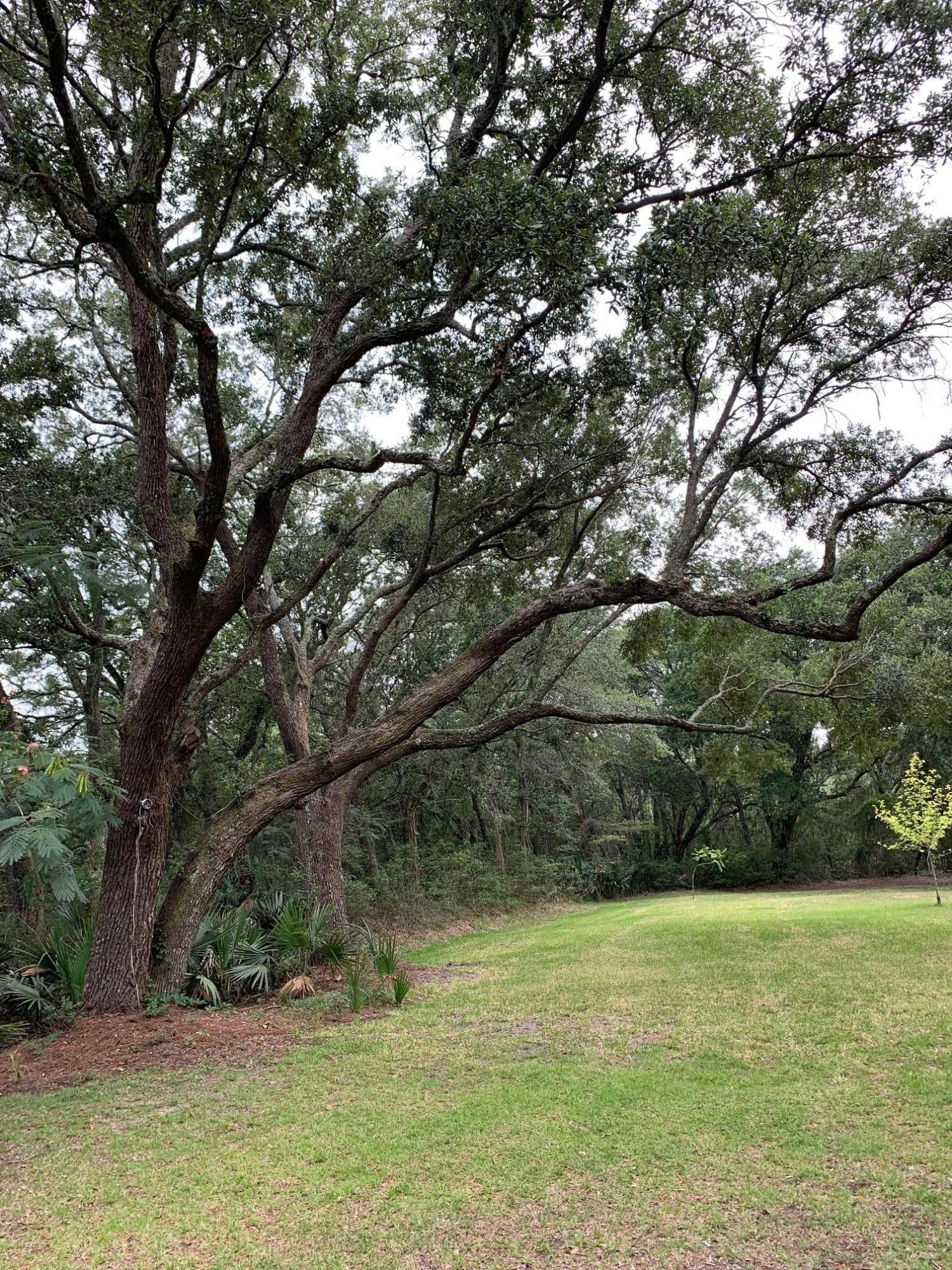 1689 Old Military Road Charleston, SC 29412 - Photo 29 of 31 IMG_0714