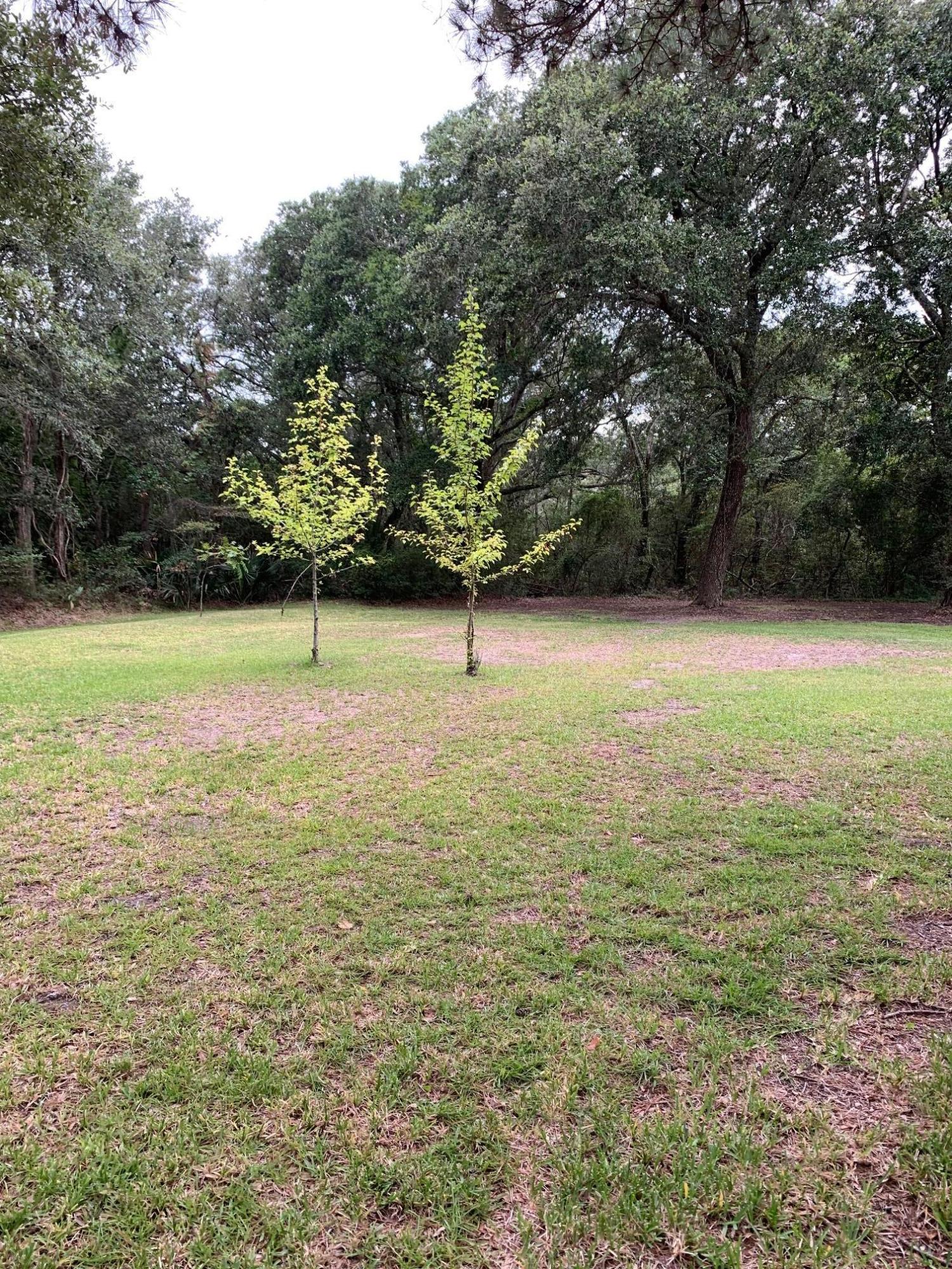 1689 Old Military Road Charleston, SC 29412 - Photo 30 of 31 IMG_0706