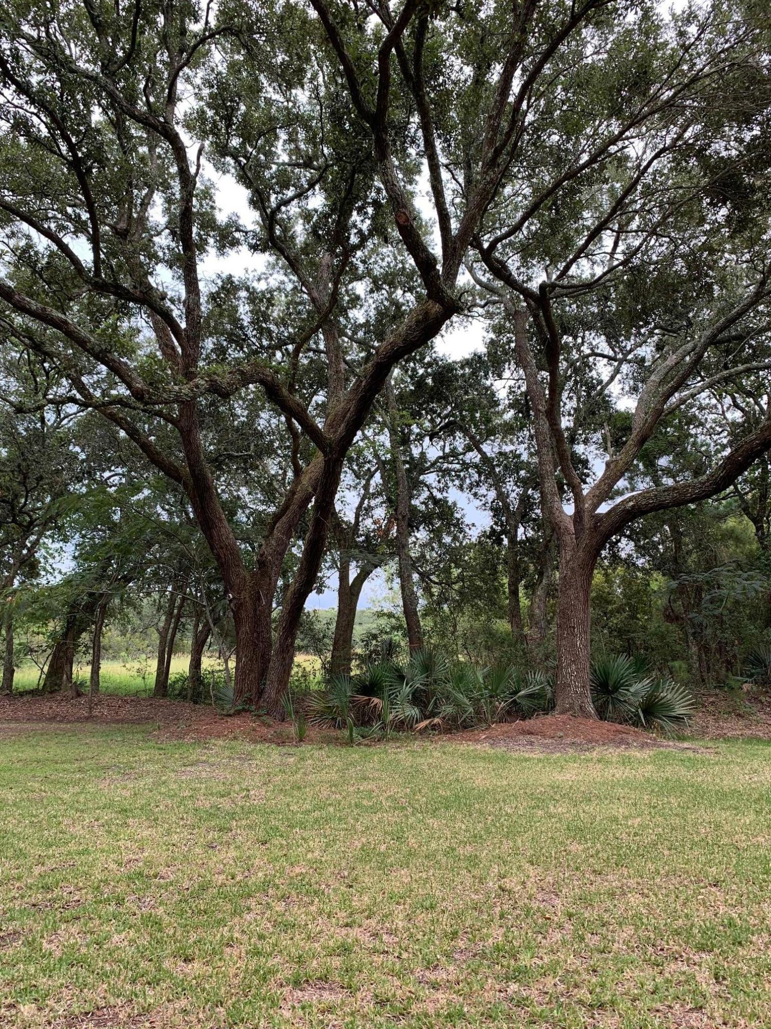 1689 Old Military Road Charleston, SC 29412 - Photo 31 of 31 IMG_0707