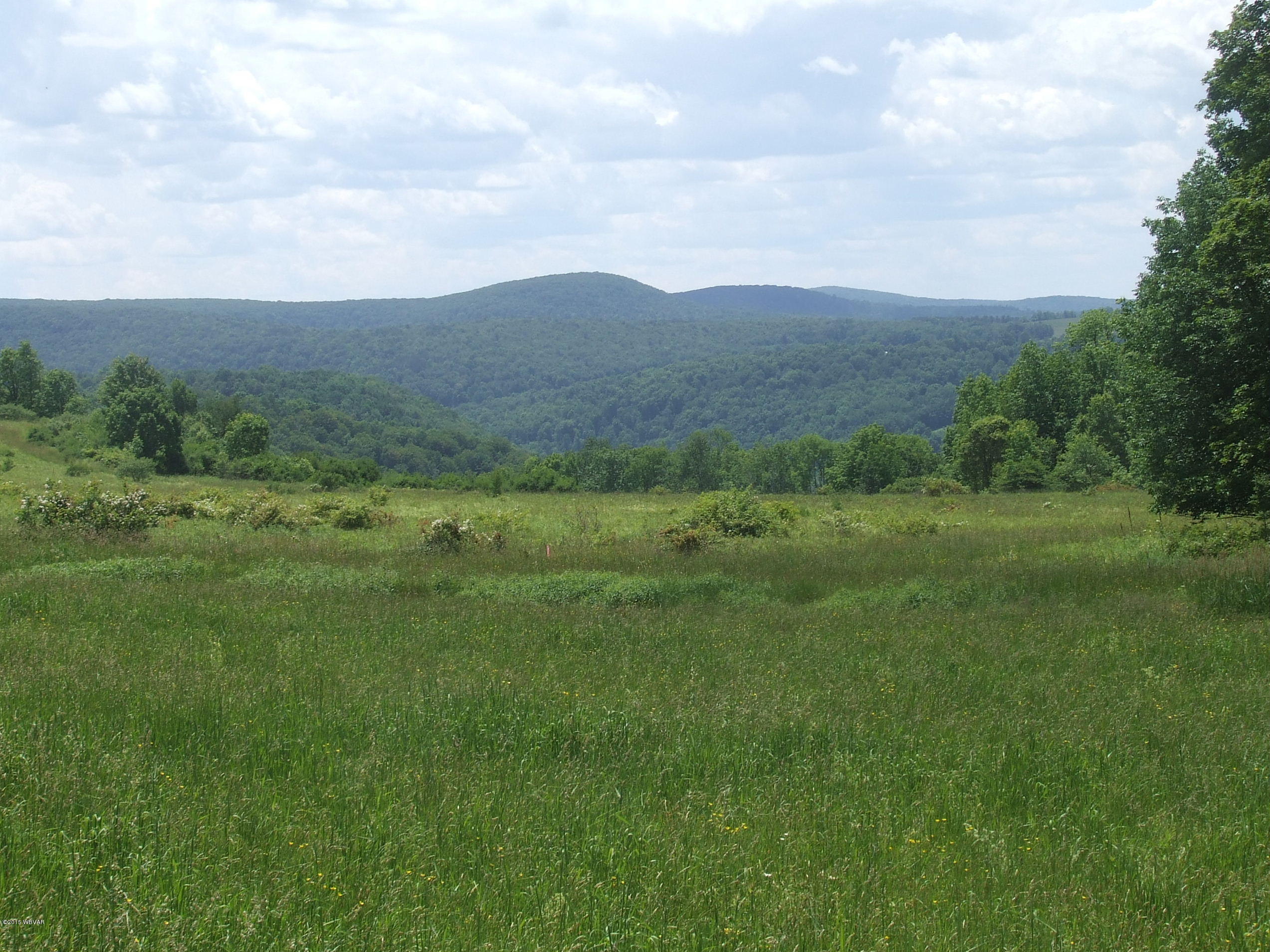 0 Shelmire Road Wellsboro, PA 16901 - Photo 1 of 9 SCF2203.JPG