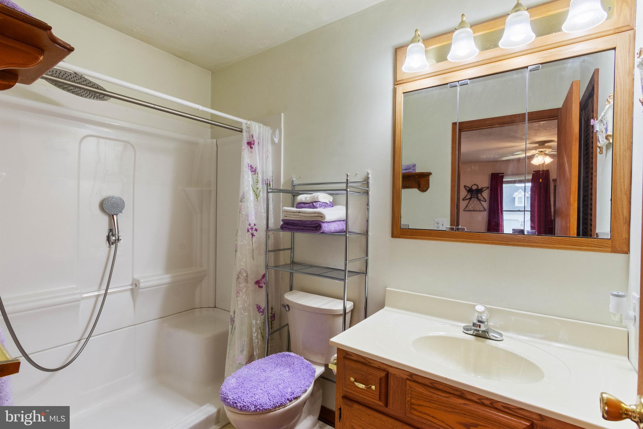 1424 Fish And Game Road Littlestown, PA 17340 - Photo 16 of 32 Primary bath