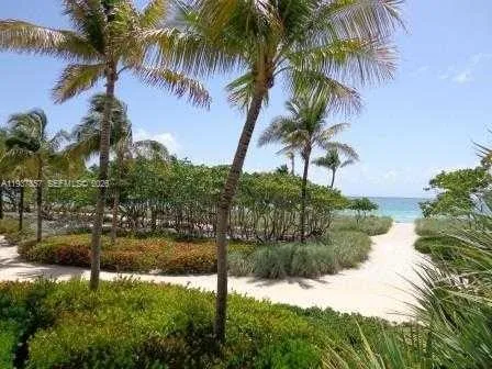 a view of a yard with a palm trees