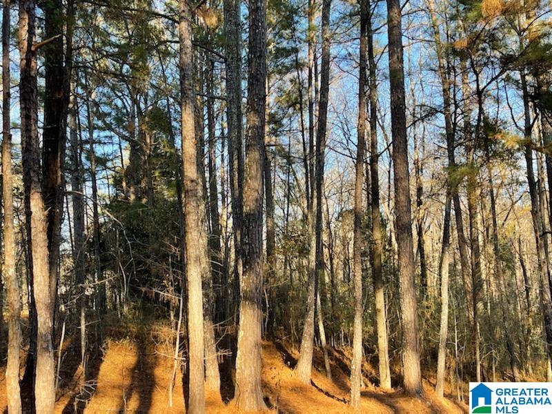 0 Sandridge Road, Unit 1 Pell City, AL 35128 - Photo 1 of 1 Gallery Image 1
