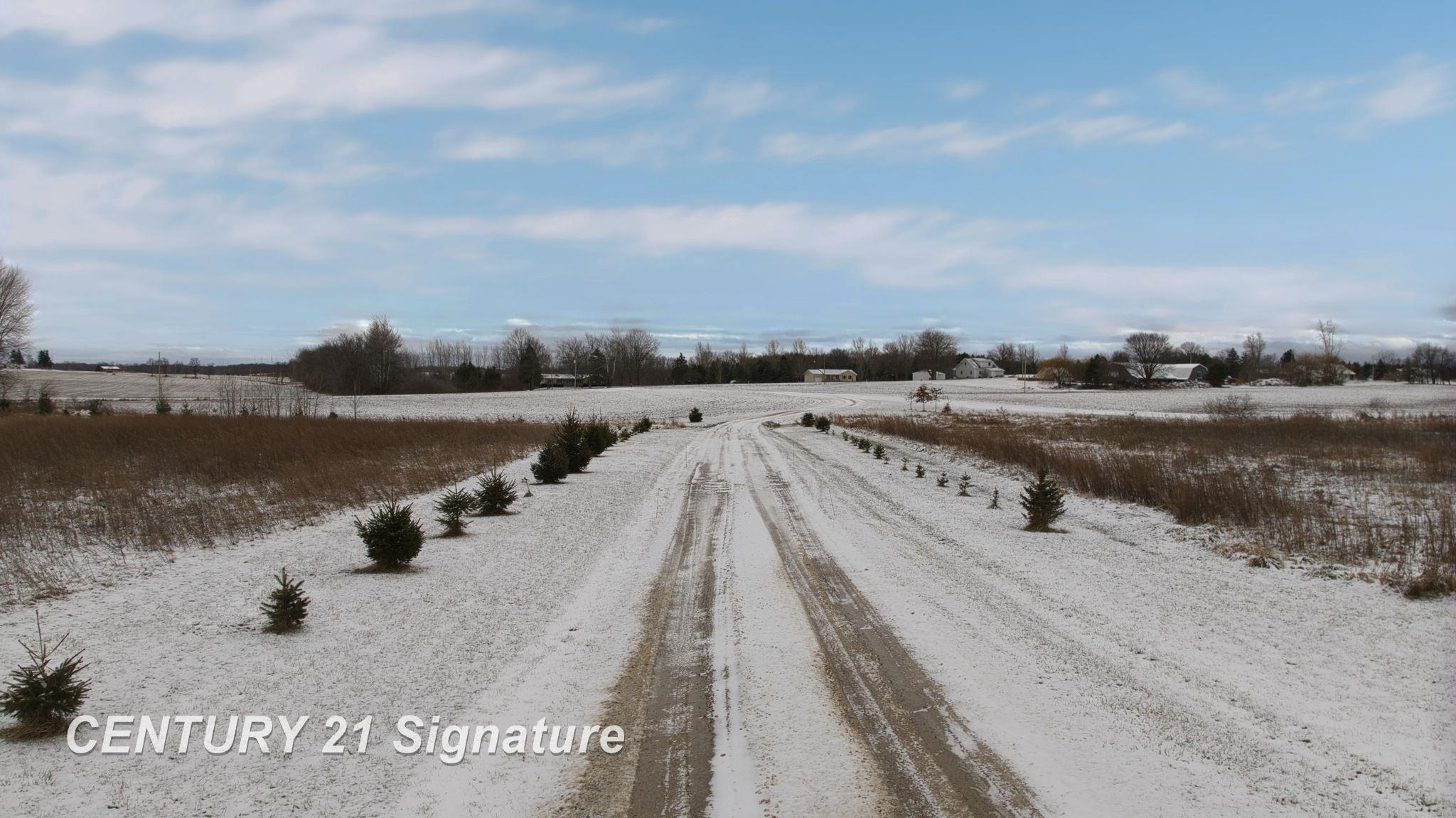 4625 East Hibbard Road Corunna, MI 48817 - Photo 10 of 47