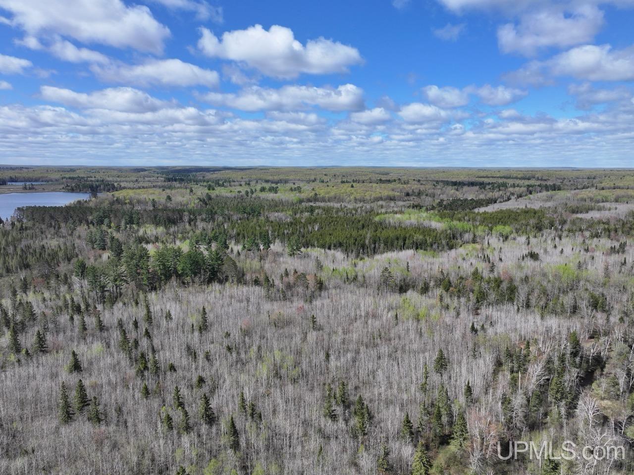 730 Premo Creek Road Crystal Falls, MI 49920 - Photo 55 of 91