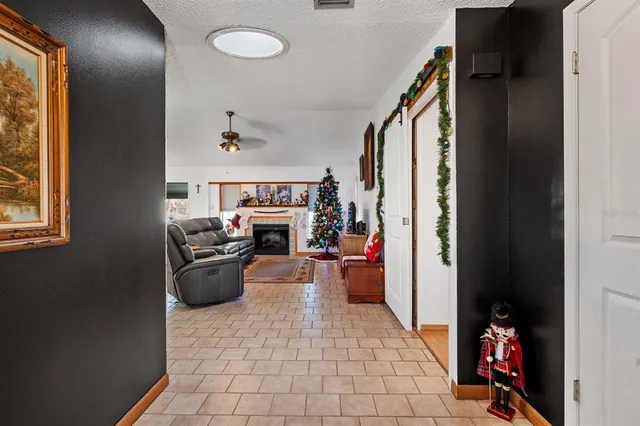 a living room with furniture a rug and a fireplace