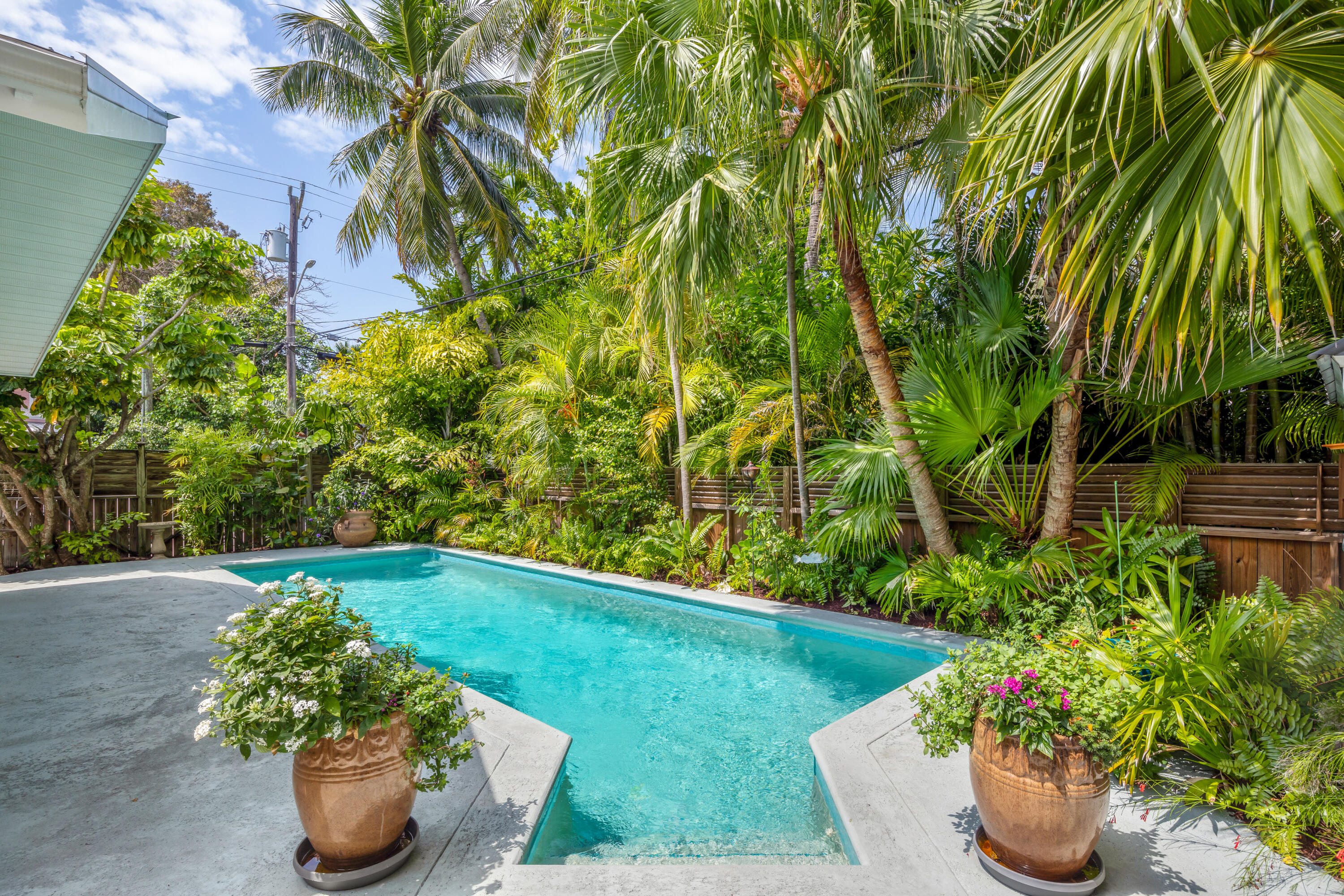 1501 Laird Street Key West, FL 33040 - Photo 30 of 40 a view of a garden with plants