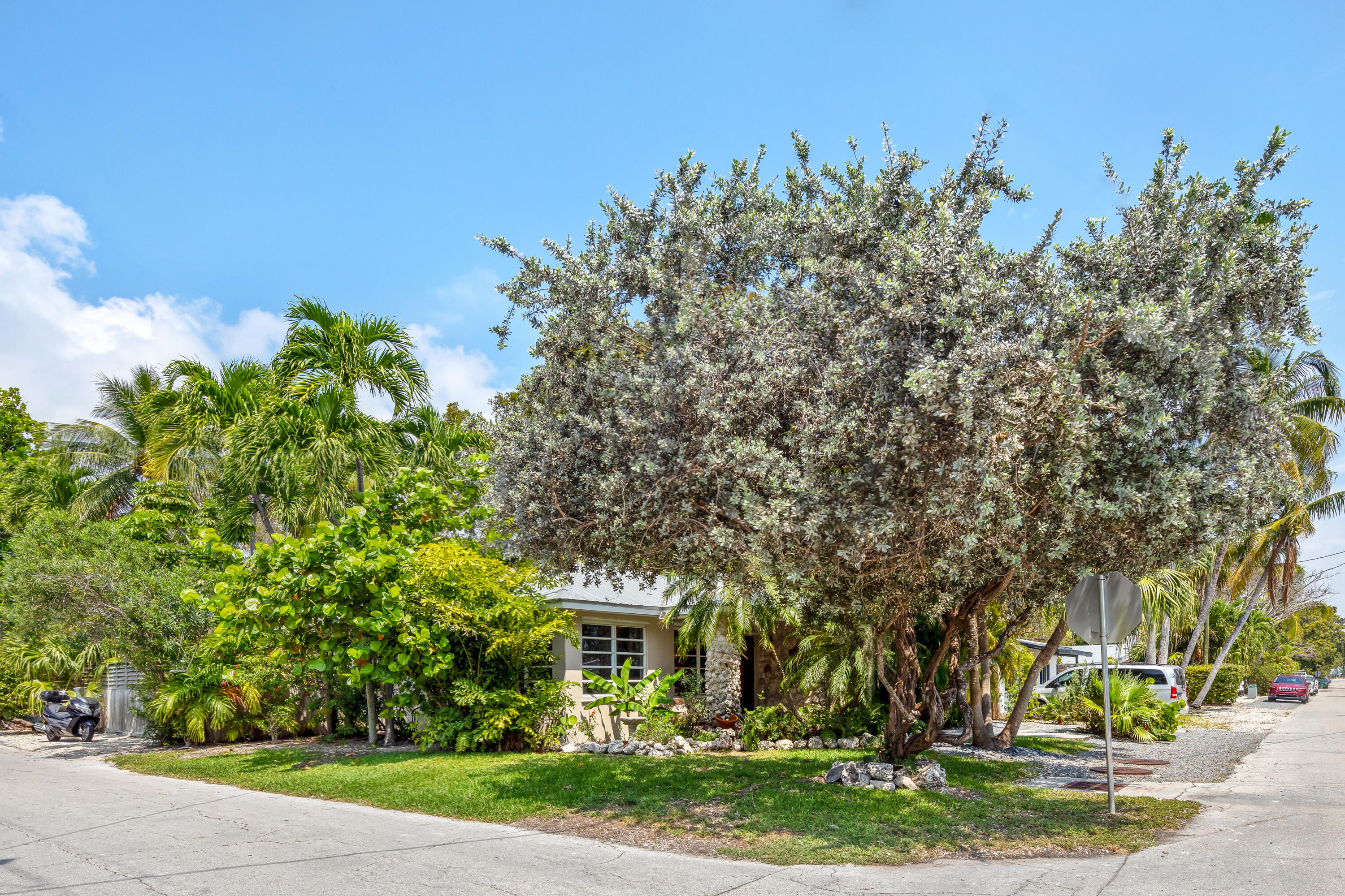 1501 Laird Street Key West, FL 33040 - Photo 4 of 40 a view of a white house with a yard and plants