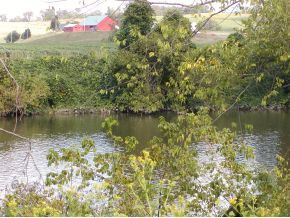 - O O Moore Road Chuckey, TN 37641 - Photo 3 of 8 Photo 3