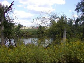 - O O Moore Road Chuckey, TN 37641 - Photo 8 of 8 Photo 8