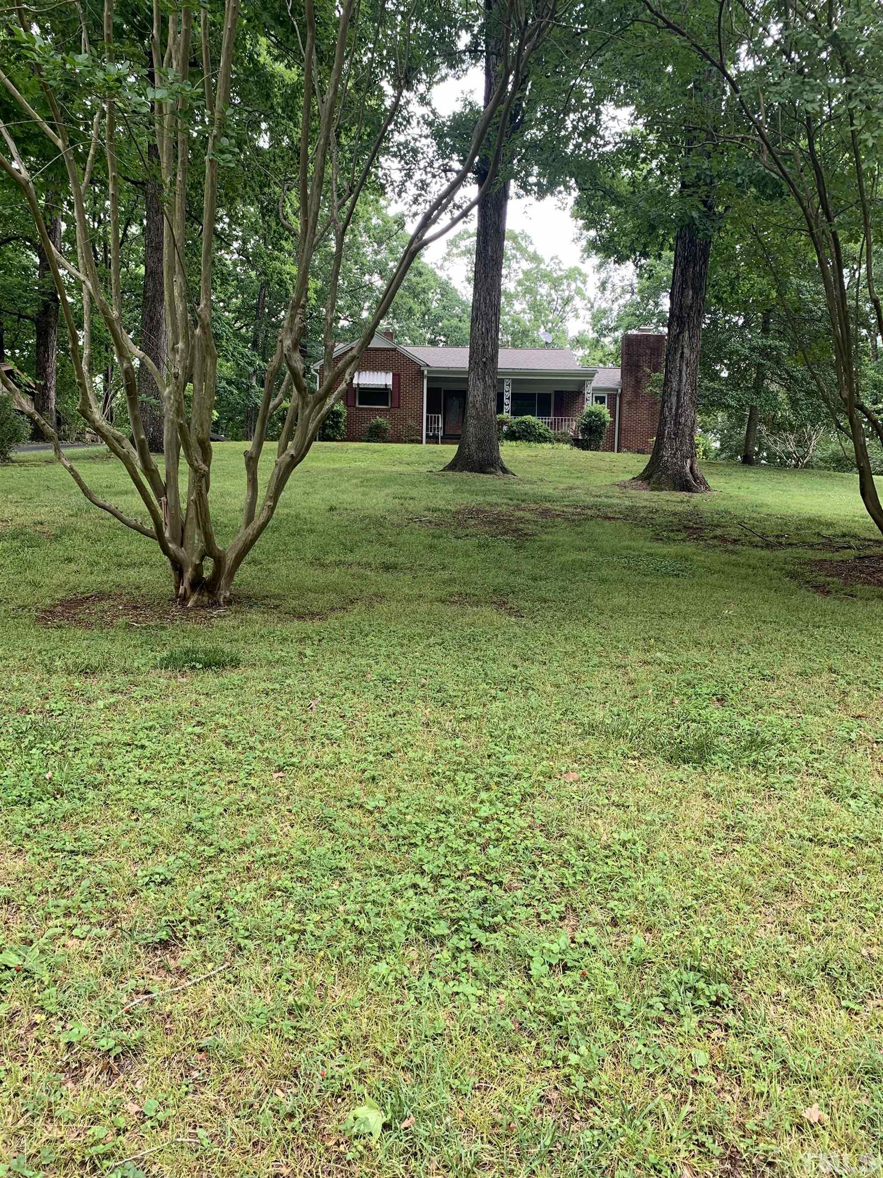 a view of a backyard with large trees