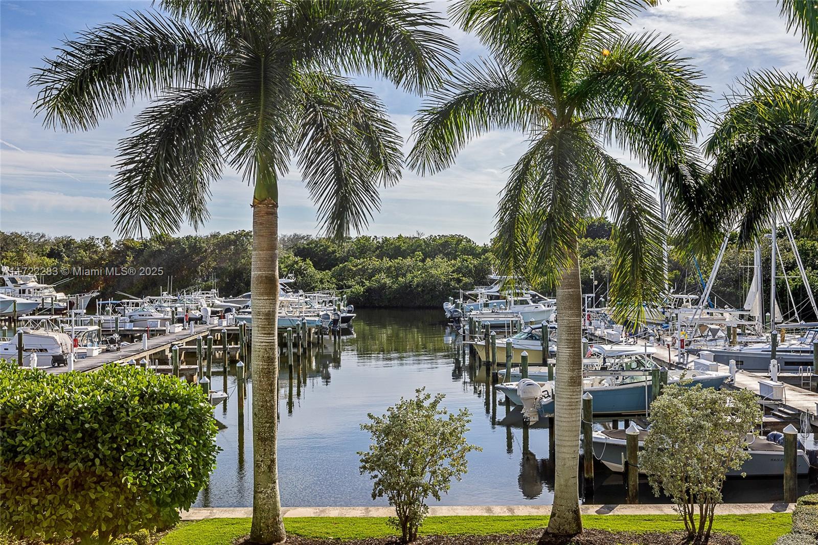 2720 Donald Ross Road, Unit 206 Palm Beach Gardens, FL 33410 - Photo 20 of 40 a view of a lake with palm trees