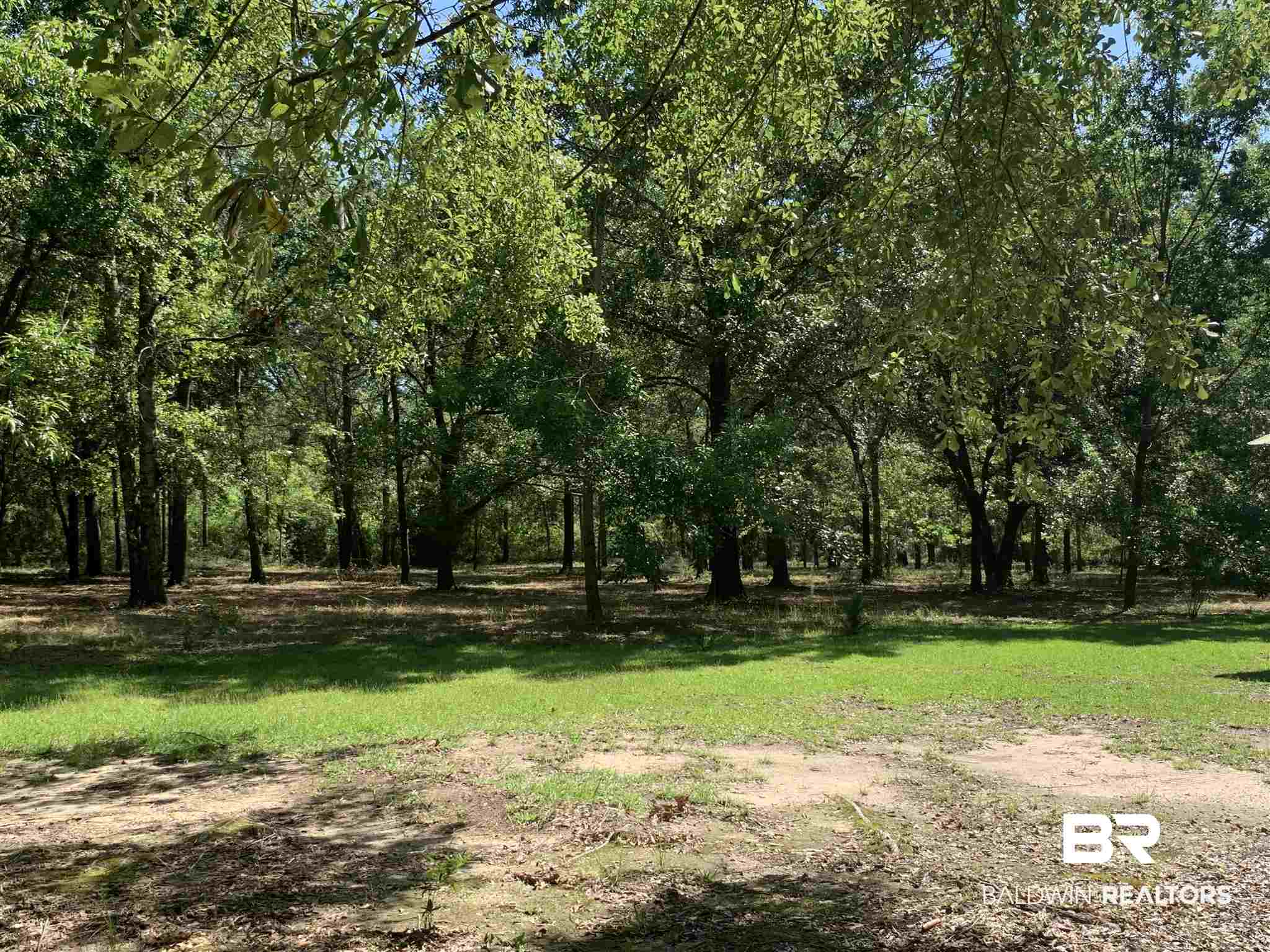 1 Truck Rte 17 Road Robertsdale, AL 36567 - Photo 20 of 25