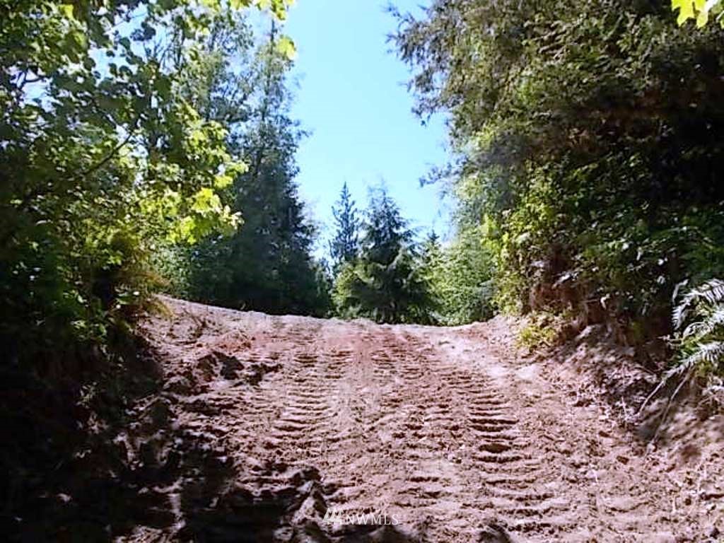 0 Old Barn Road Randle, WA 98377 - Photo 2 of 25 Gallery Image 2