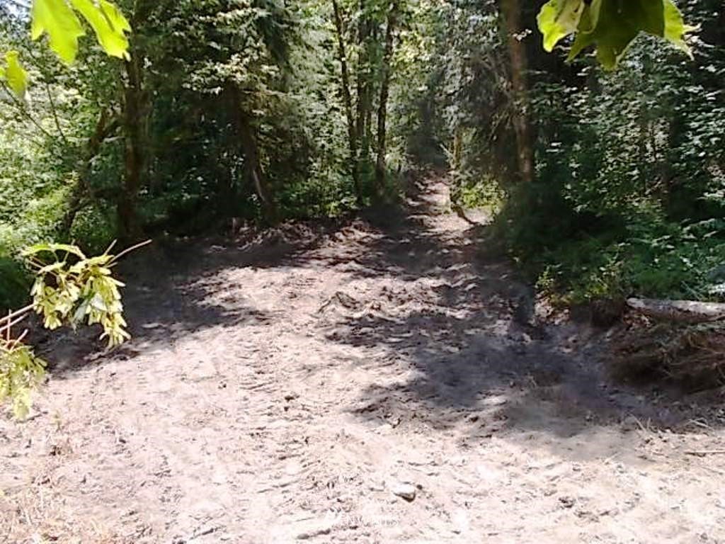 0 Old Barn Road Randle, WA 98377 - Photo 11 of 25 Gallery Image 11
